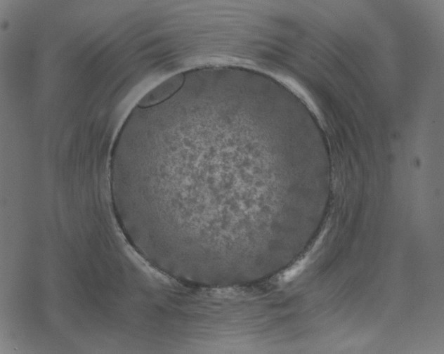 X0000073920903200608181046