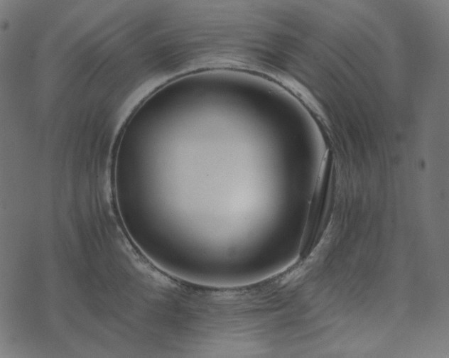 X0000073920904200608181046