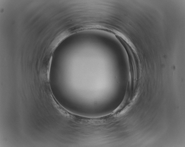 X0000073920905200608181046