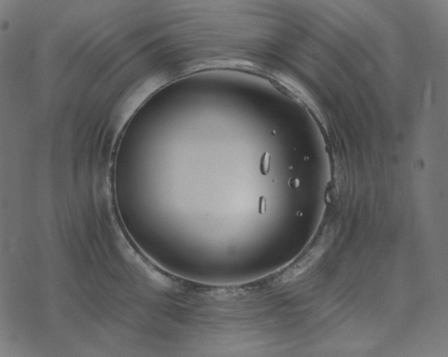 X0000073920906200608181046