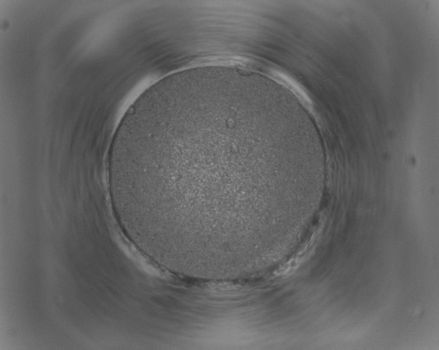 X0000073920907200608181046