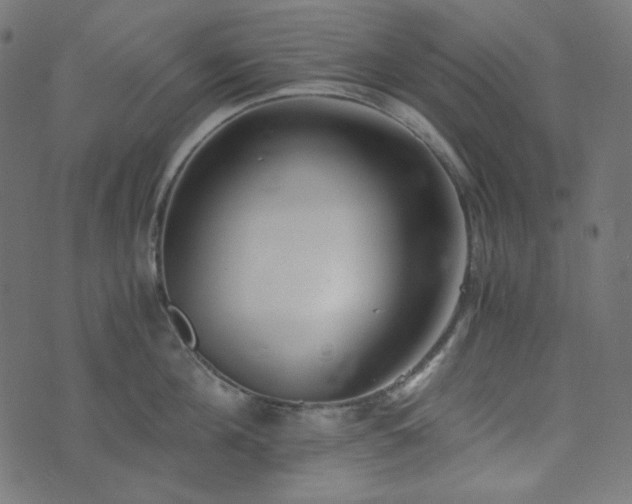 X0000073920908200608181046