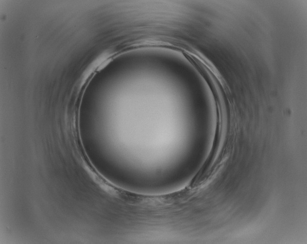 X0000073920909200608181046