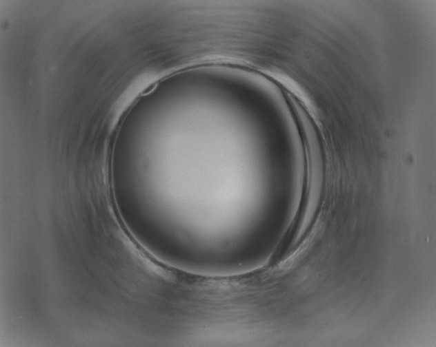 X0000073920910200608181046