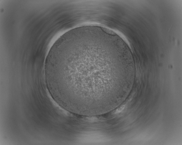 X0000073920911200608181046