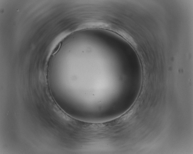 X0000073920912200608181046