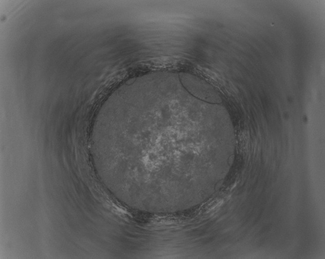 X0000073920913200608181045