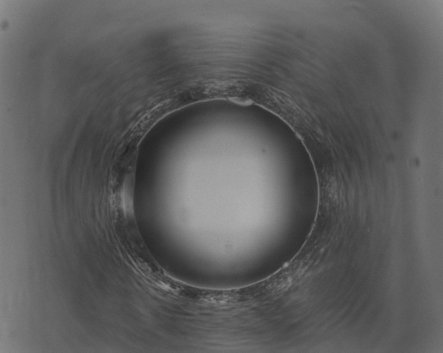 X0000073920914200608181045