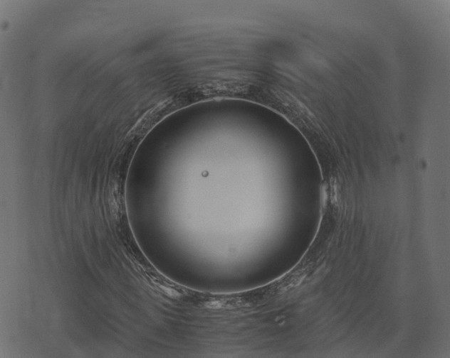 X0000073920915200608181045