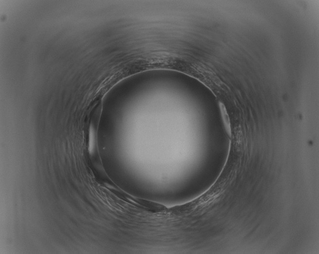 X0000073920916200608181045