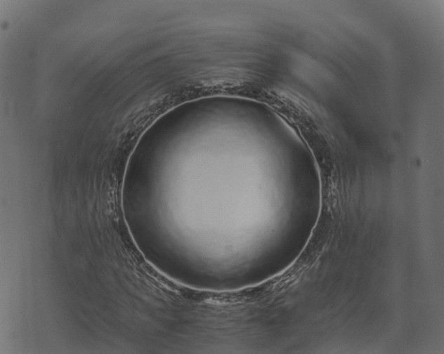 X0000073920917200608181045