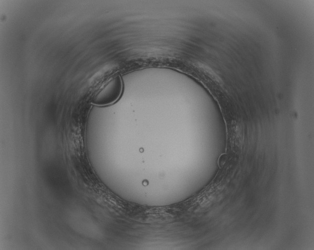 X0000073920918200608181045