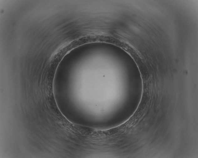 X0000073920919200608181045