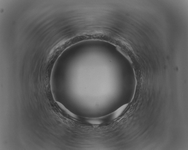 X0000073920920200608181045