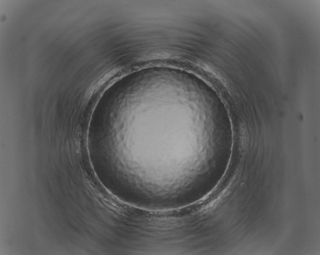 X0000073920921200608181045