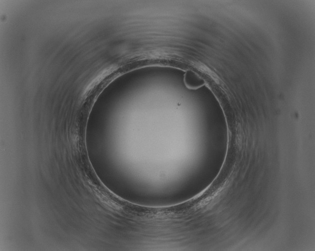 X0000073920922200608181045