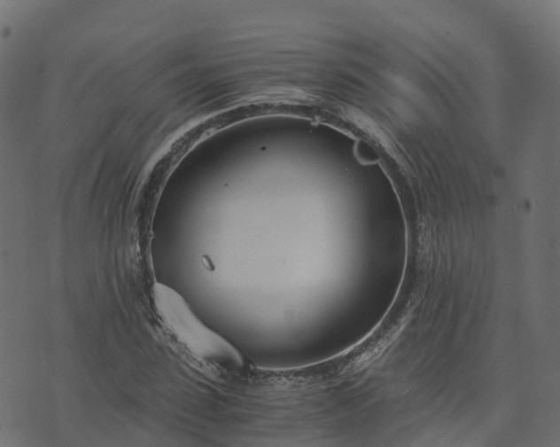 X0000073920923200608181045