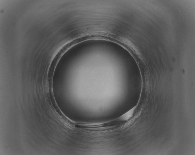 X0000073920924200608181045