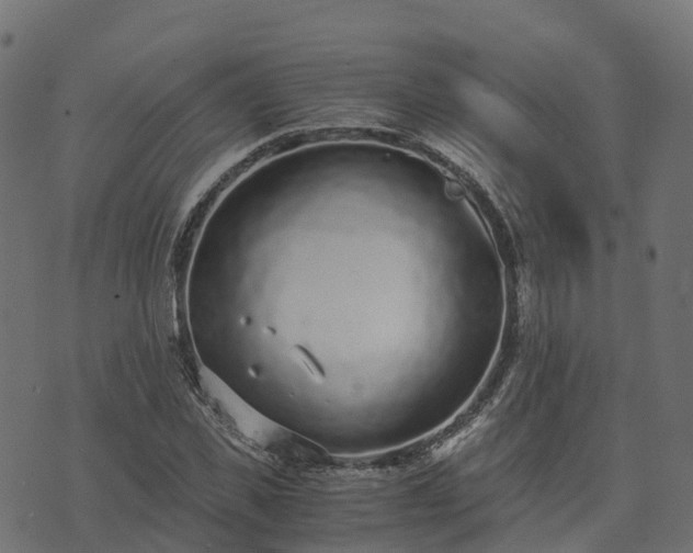 X0000073920925200608181045