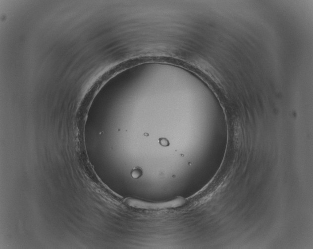 X0000073920926200608181045