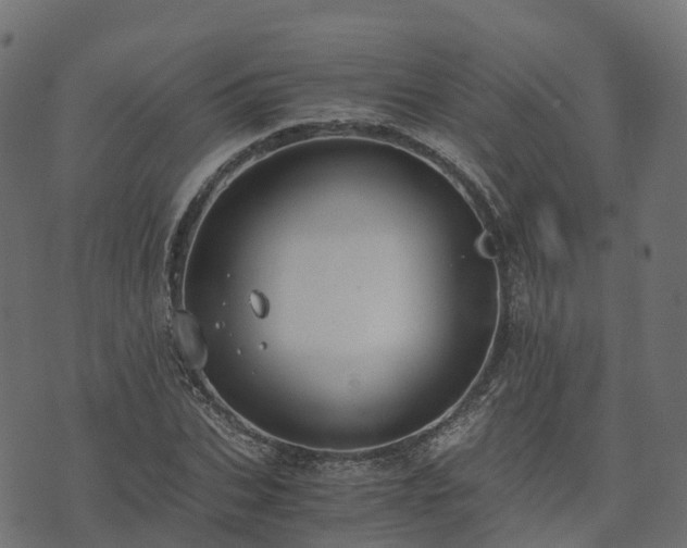 X0000073920927200608181045