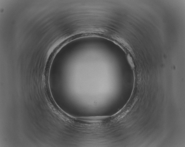 X0000073920928200608181045