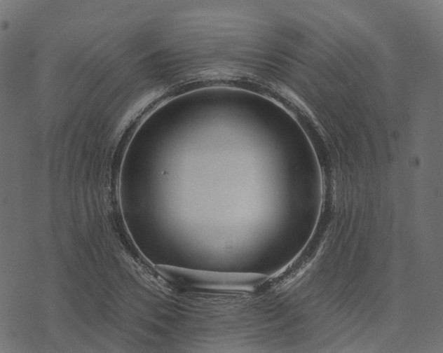 X0000073920930200608181045