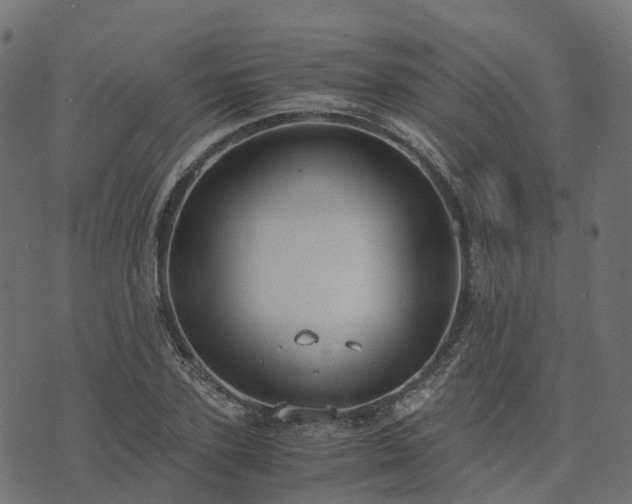 X0000073920931200608181045