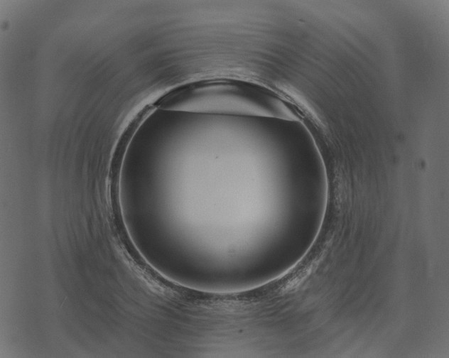 X0000073920932200608181045