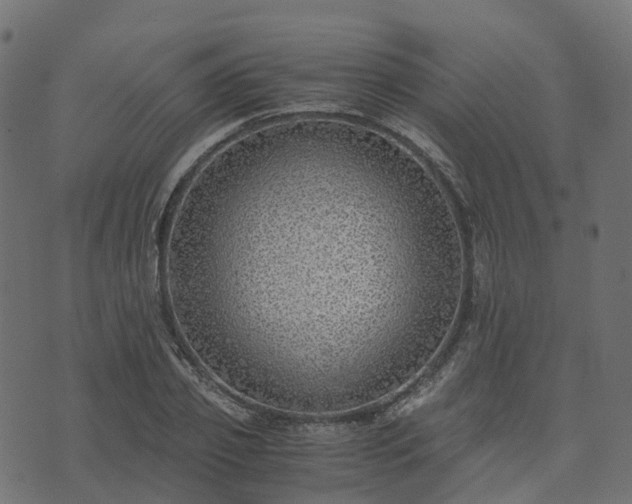 X0000073920933200608181045