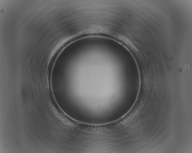 X0000073920934200608181045