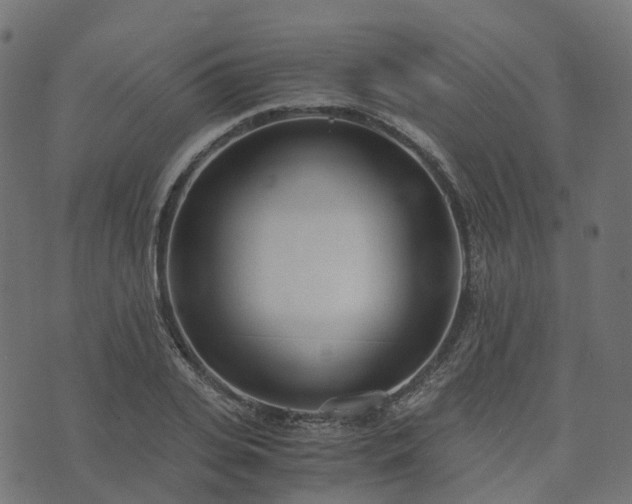 X0000073920935200608181045