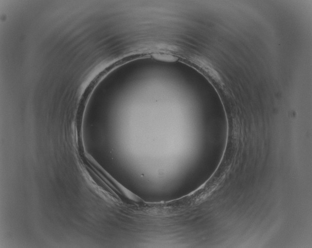 X0000073920936200608181045