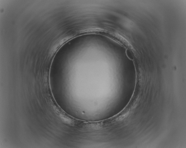 X0000073920937200608181045