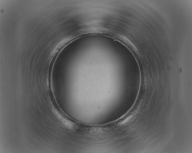 X0000073920938200608181045