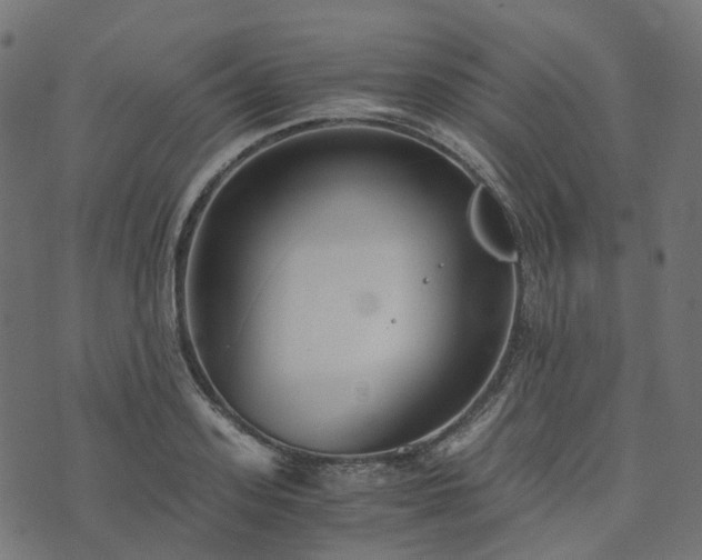 X0000073920939200608181045