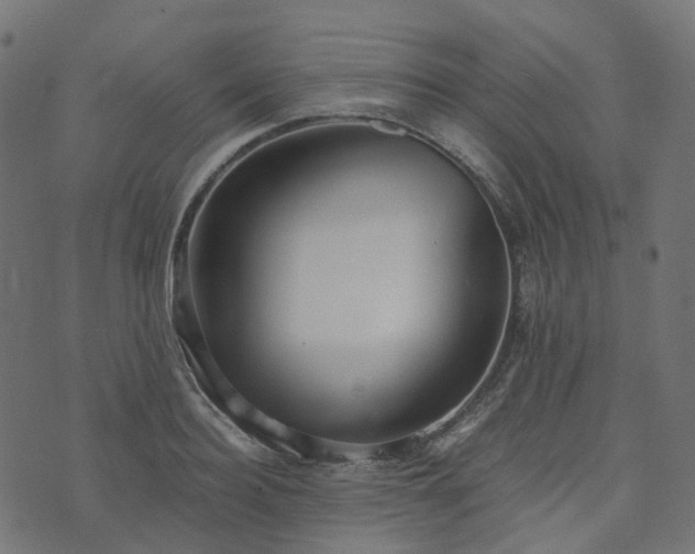 X0000073920940200608181045