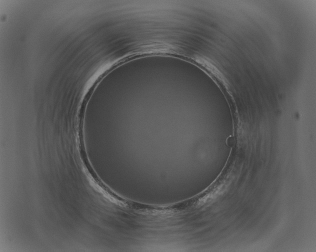 X0000073920941200608181045