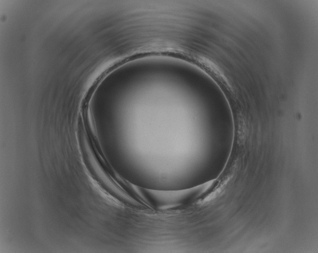 X0000073920942200608181045