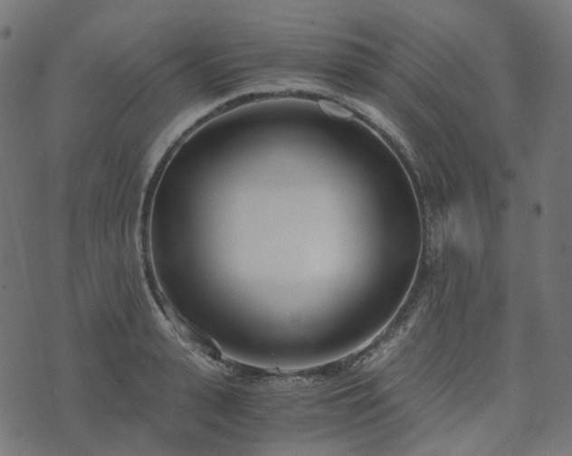 X0000073920943200608181046