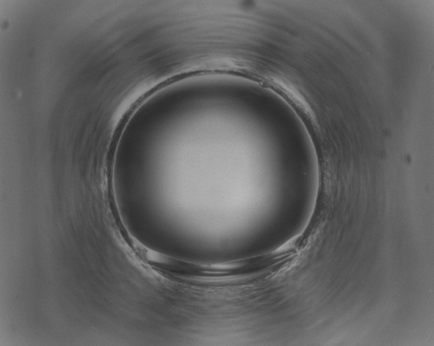 X0000073920944200608181046