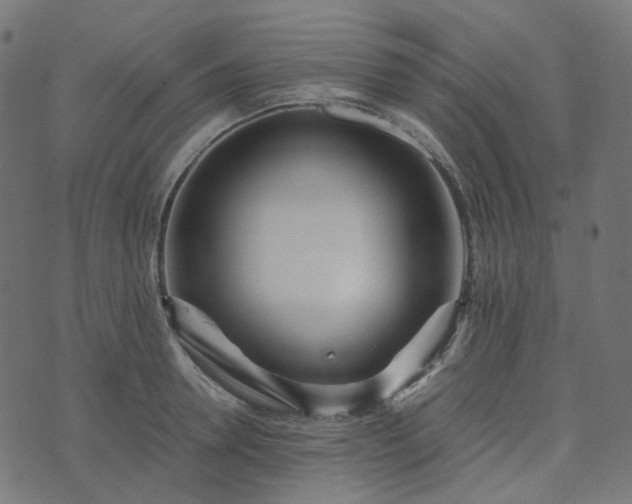 X0000073920946200608181046