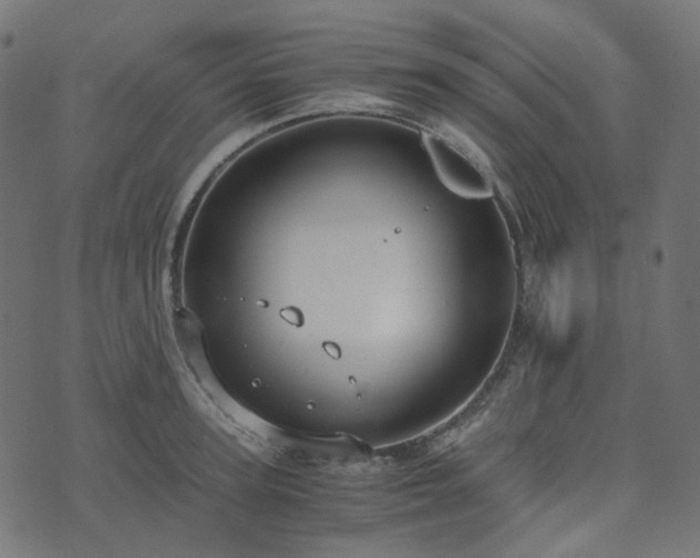 X0000073920947200608181046