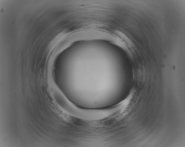 X0000073920948200608181046