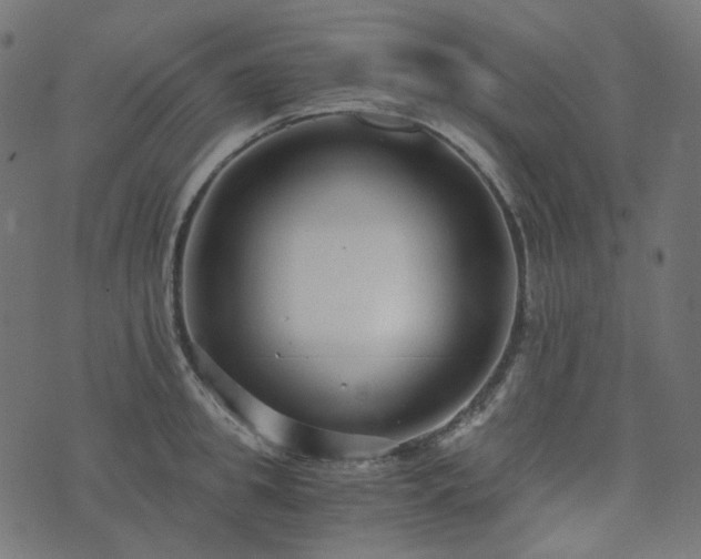 X0000073920949200608181046