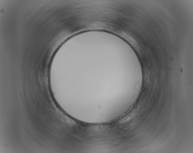 X0000073920950200608181046