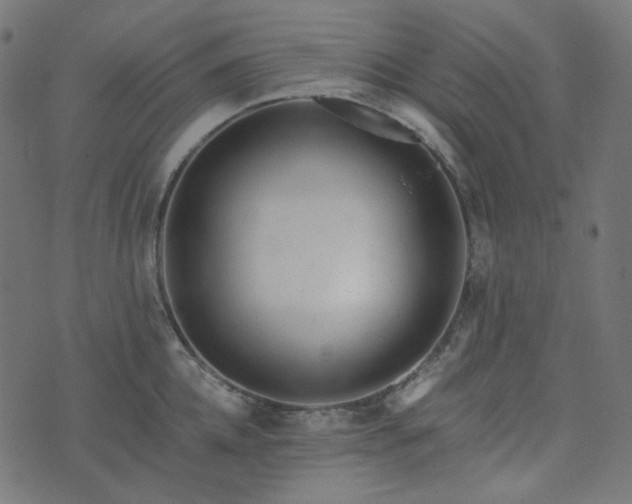 X0000073920952200608181046