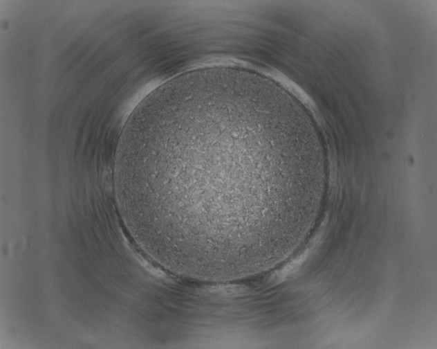 X0000073920953200608181046