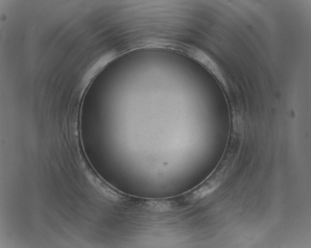 X0000073920954200608181046