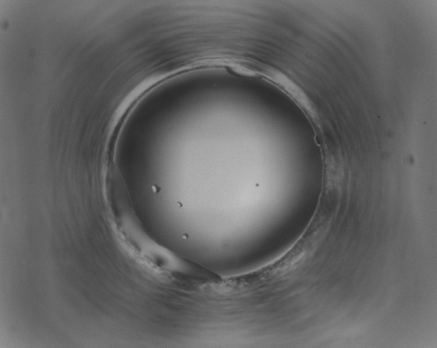 X0000073920955200608181046